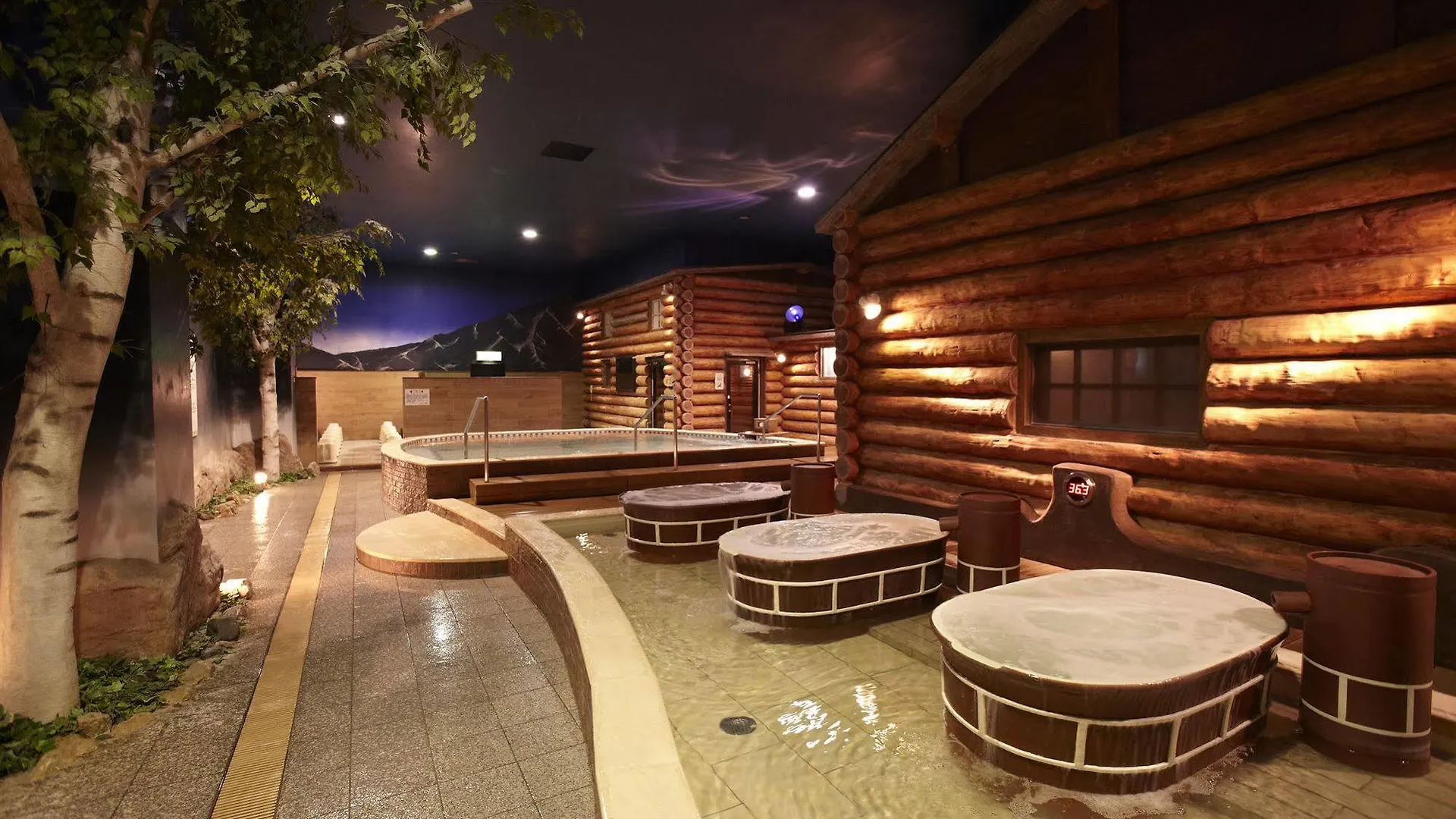 אוסקה Spa World Hotel&Resort 4*,  יפן